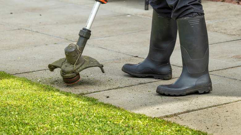 Are You Edging Your Lawn The Wrong Way